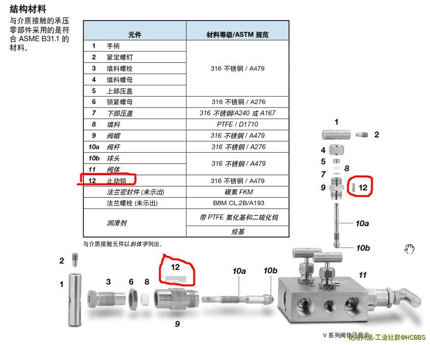 zhidongxiao.png