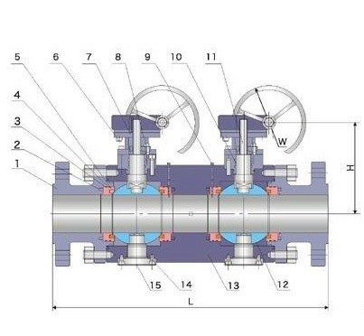 DBB-1.jpg